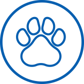 Pet Urine & Odor Removal